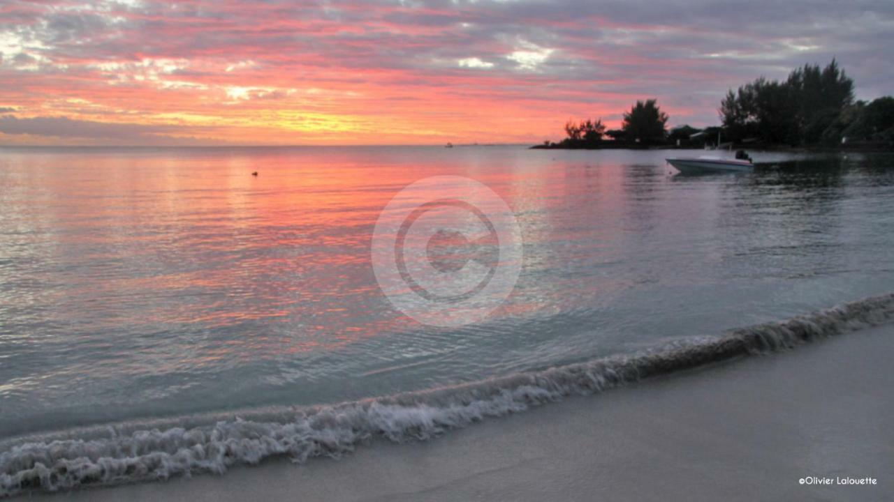 Fantastic Spacious Beachfront Villavacances Grand Bay Buitenkant foto